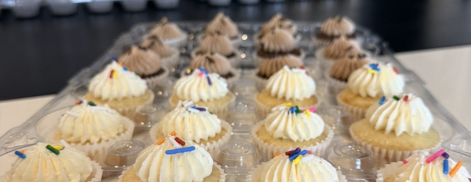 Trays of vanilla cupcakes piped with swirls of buttercream
